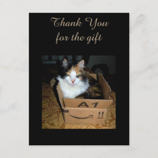 Carte postale drôle de chat calico dans une boîte