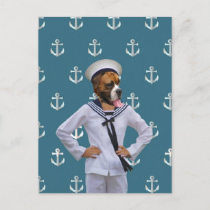 Carte Postale Drôle de chien marin