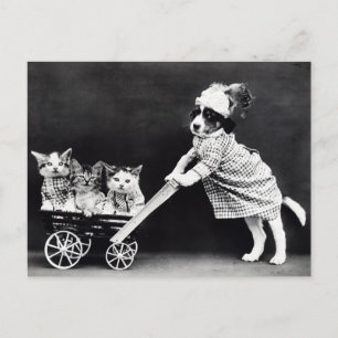 Carte postale drôle de chiot et de chatons Resta