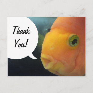 Carte Postale Drôle de poisson à cache-cache Merci