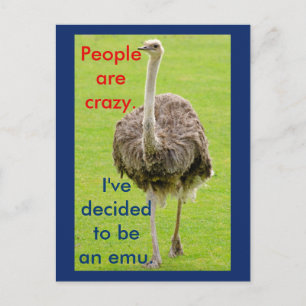 Carte postale drôle d'émeu