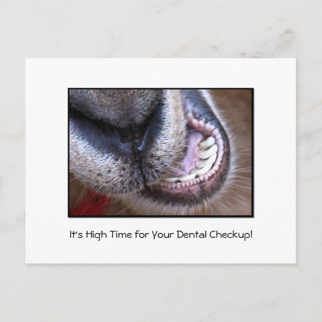 Carte Postale Drôle Dental Checkup Rendez-vous rappel Chèvre (Devant)