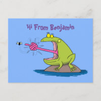 Drôle dessin animé de grenouille et mouche