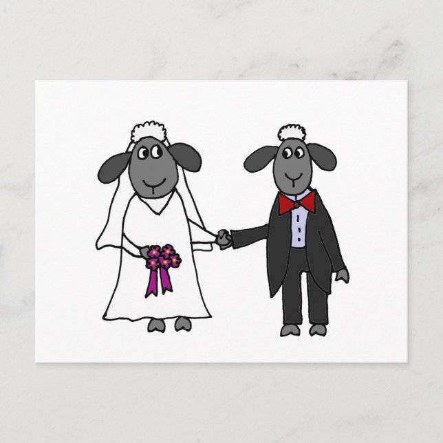 Carte Postale Drôle dessin Mariage Sheep (Devant)