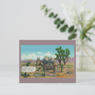 Carte postale drôle du désert Vintage