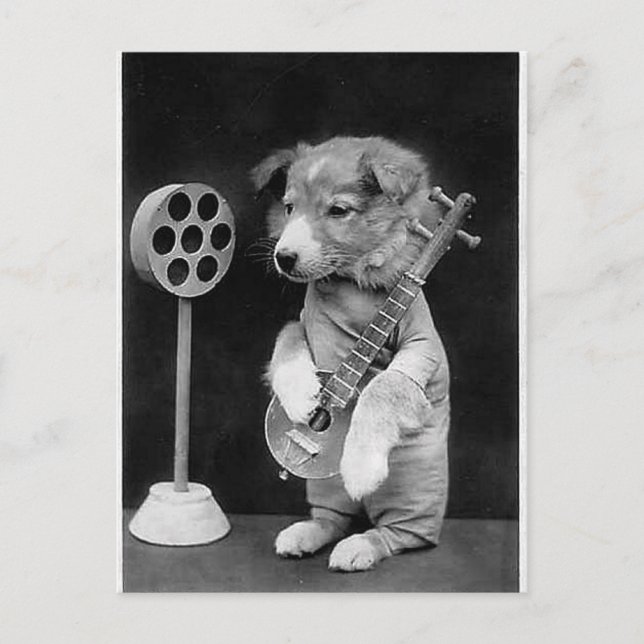 Carte Postale Drôle JACK RUSSELL Terrier chien jouant banjo (Devant)