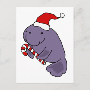Carte Postale Drôle Manatee à Santa Hat Caricature de Noël