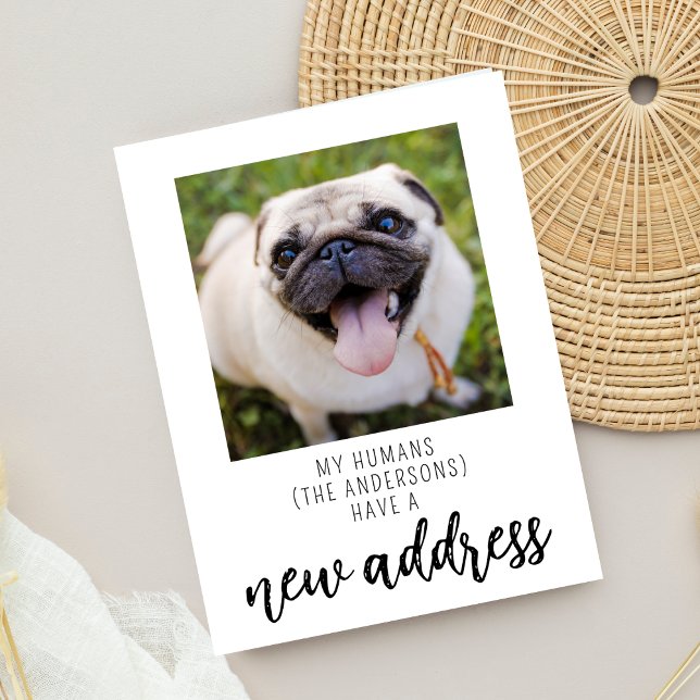 Carte Postale Drôle Nous avons déménagé Nouvelle Adresse Chien P (Créateur téléchargé)