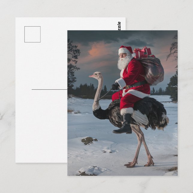 Carte Postale Drôle Père Noël et Ostrich (Devant / Derrière)