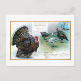 Carte Postale Drôle Thanksgiving Turkeys Lecture Proclamation