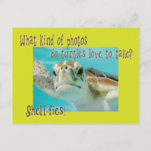 Carte Postale Drôle tortue énigme pour les enfants