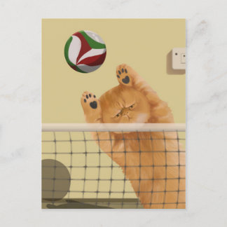 Carte Postale Drôle Whimsical joueuse Chat : Volleyball