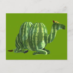 Carte Postale Dromedale de la journée nationale de la pastèque