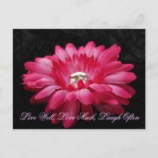 Carte Postale DSC00005 (2), Vis Bien, Aime Beaucoup, Rire Souven