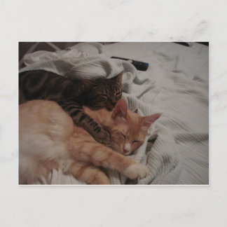 Carte Postale dsc00178[1] (2)