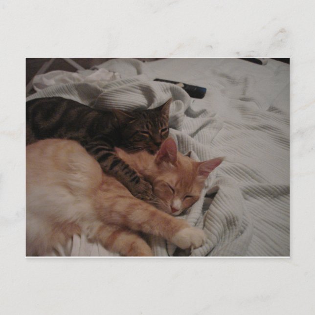 Carte Postale dsc00178[1] (2) (Devant)