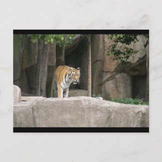 CARTE POSTALE DSC00222