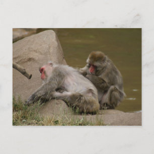 CARTE POSTALE DSC00342