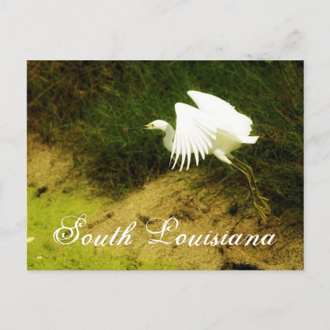 Carte Postale DSC08779bb, Louisiane du Sud (Devant)