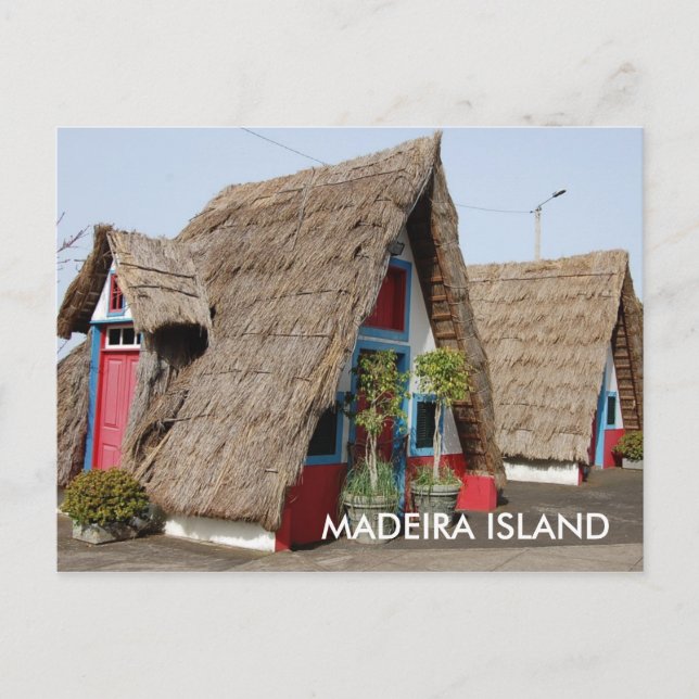 CARTE POSTALE DSC_0706, ÎLE DE MADEIRA (Devant)