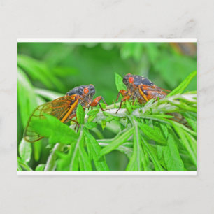 Carte Postale DSC_3480ps.jpg