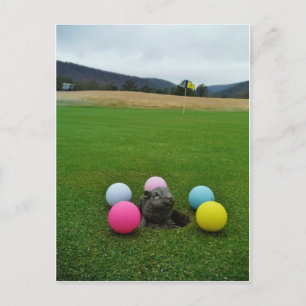 CARTE POSTALE DSCF0692.JPG