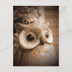 CARTE POSTALE DSCF2729