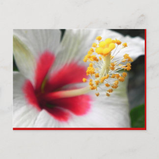 CARTE POSTALE DSCN0387