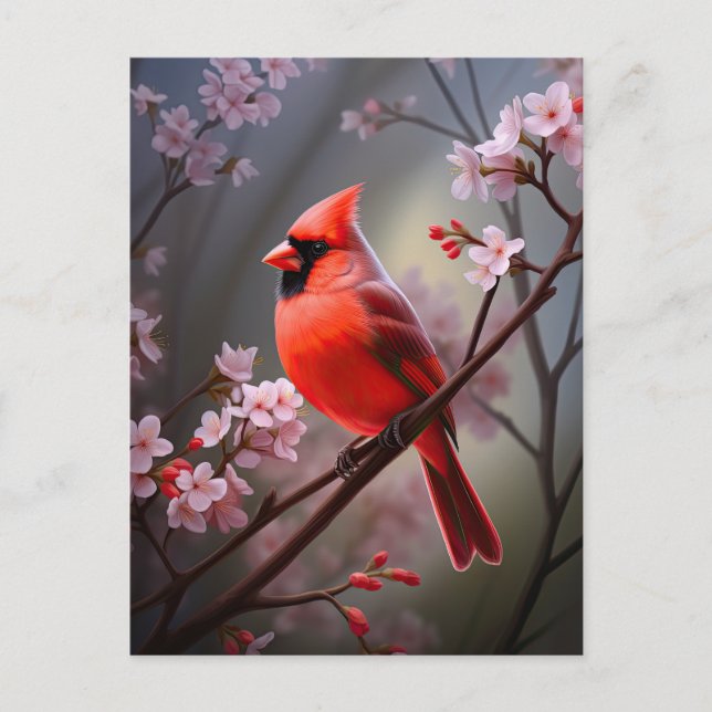 Carte postale du Cardinal du Nord de l'Ohio Red Bi (Devant)