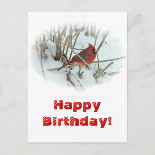 Carte postale du cardinal oriental Anniversaire