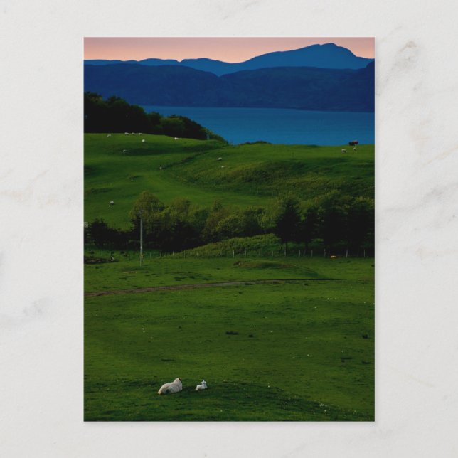 Carte postale du château de Glengorm 2 (Devant)