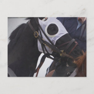 Carte postale du cheval de course