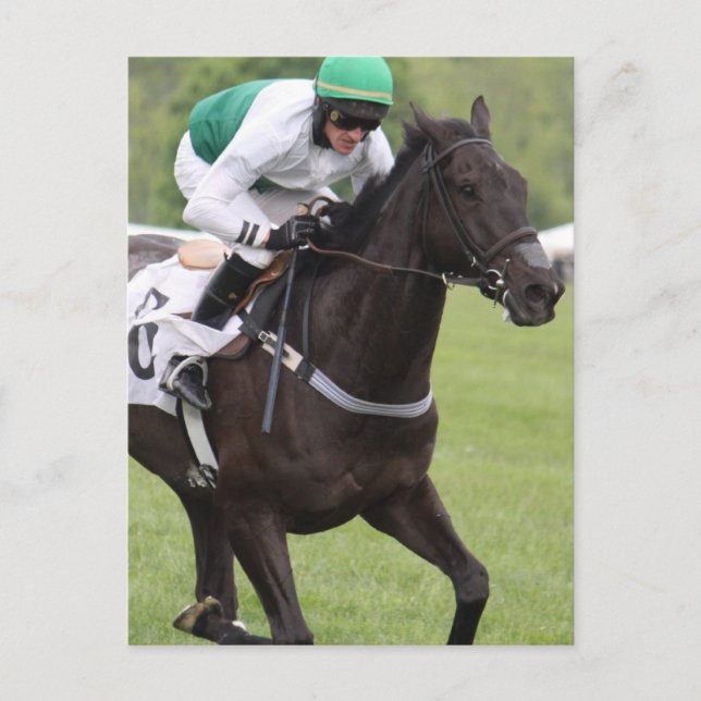 Carte postale du cheval de course Galloping (Devant)