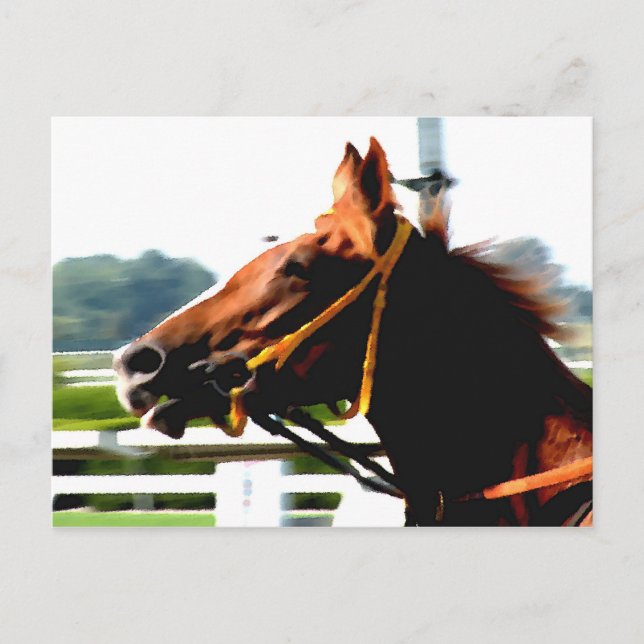 Carte postale du cheval de course Thoroughbred (Devant)