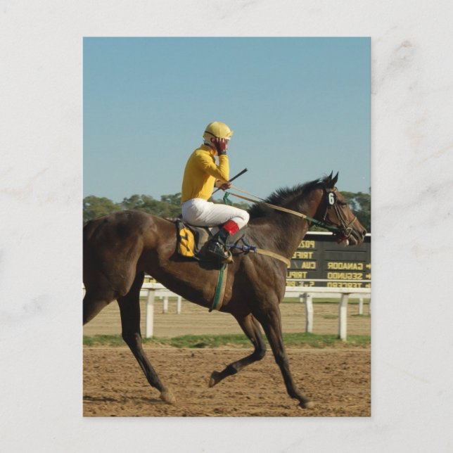 Carte postale du cheval de course Thoroughbred (Devant)