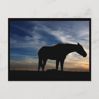 Carte postale du Cheval du coucher du soleil