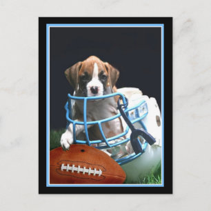 Carte postale du chiot du club de football