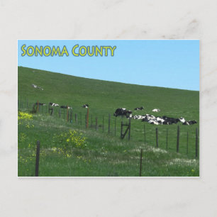 Carte postale du comté de Sonoma