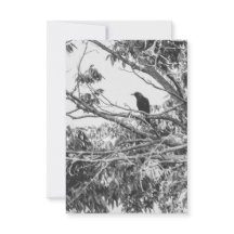 Carte postale du corbeau gothique