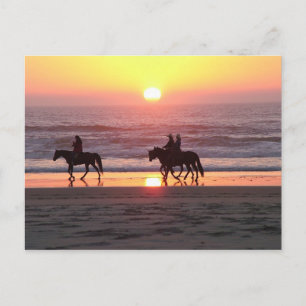 Carte postale du coucher de soleil avec cheval