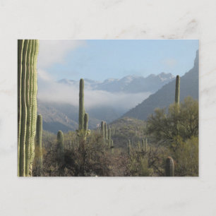 Carte postale du désert de Tucson