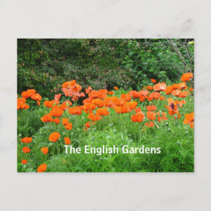 Carte postale du jardin anglais
