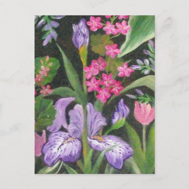 Carte postale du jardin d'Iris (Devant)