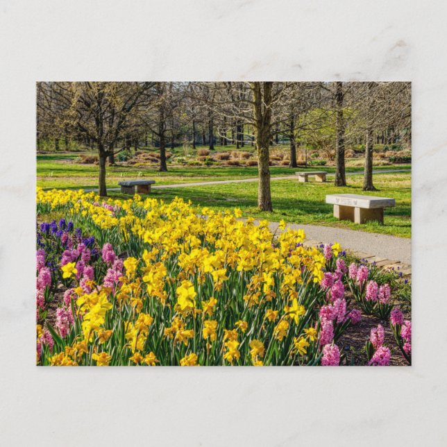 Carte postale du jardin fleuri de printemps (Devant)
