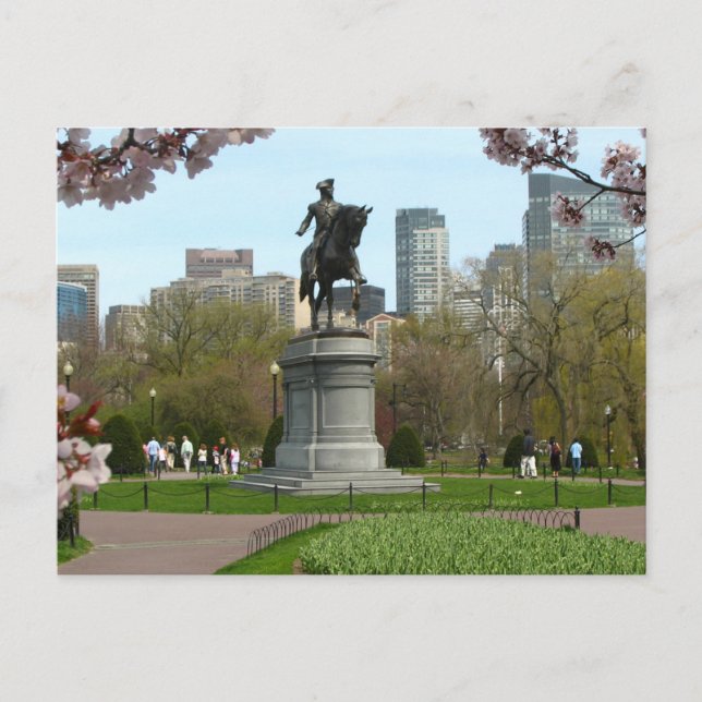 Carte postale du jardin public Boston Massachusett (Devant)