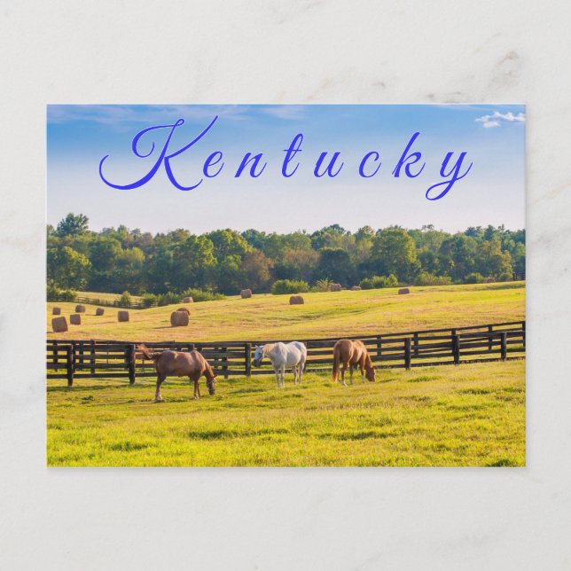 Carte postale du Kentucky. Chevaux à la ferme à ch (Devant)
