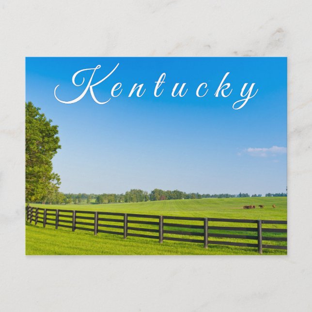Carte postale du Kentucky. Paysage rural. (Devant)