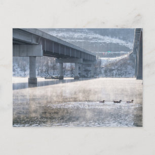 Carte postale du lac Taneycomo Foggy Winter Fishin