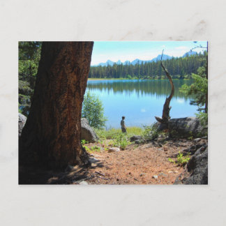 Carte postale du lac Wabasso