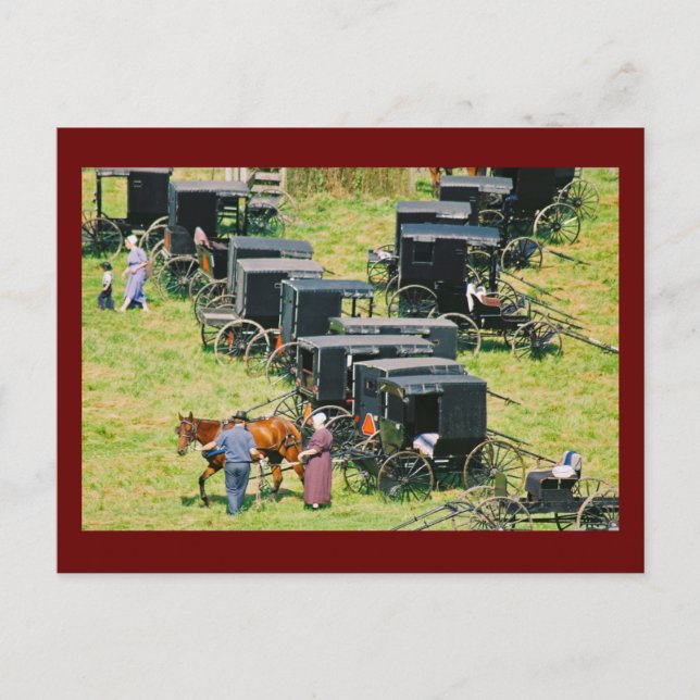 Carte postale du lot de stationnement de buggy (Devant)